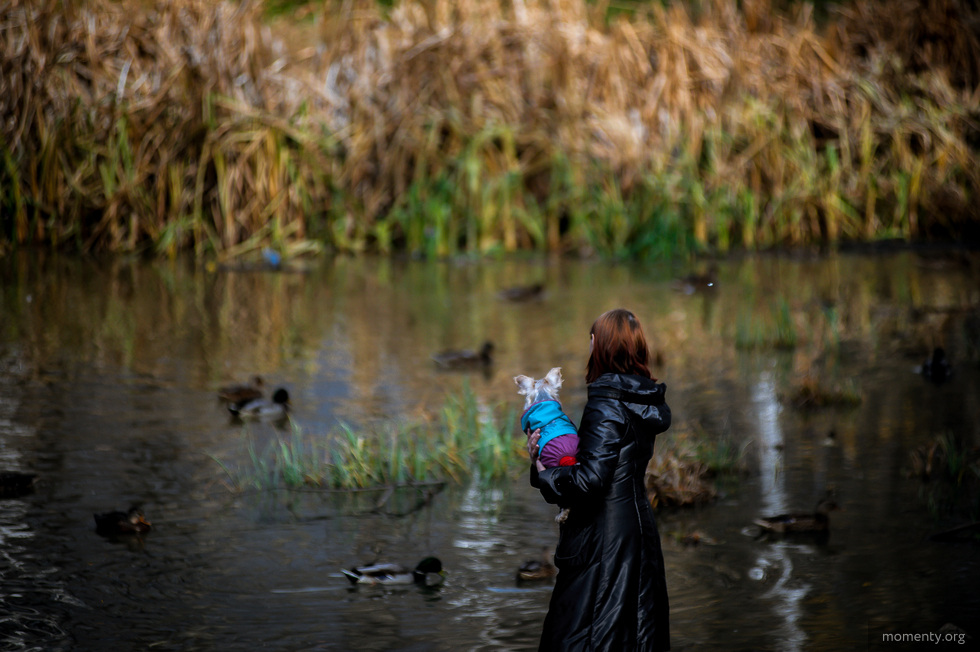 «Зря голосовали?» — Екатеринбург снова рискует остаться без федеральных денег на парки «Зря голосовали?» — Екатеринбург снова рискует остаться без федеральных денег на парки