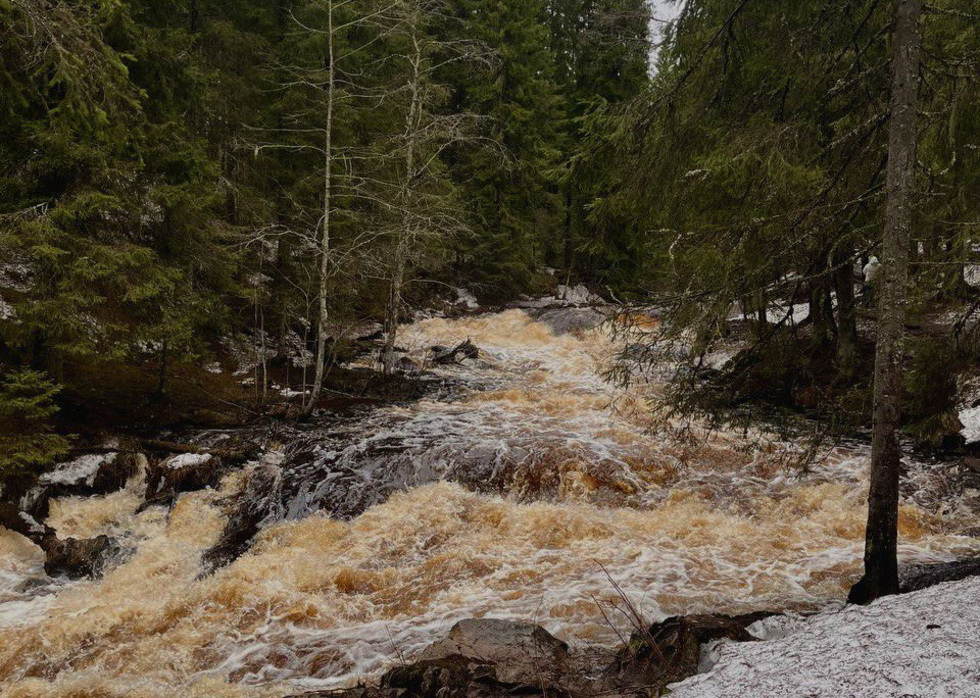Край сказочных лесов и горных водопадов: что посмотреть в Карелии Край сказочных лесов и горных водопадов: что посмотреть в Карелии