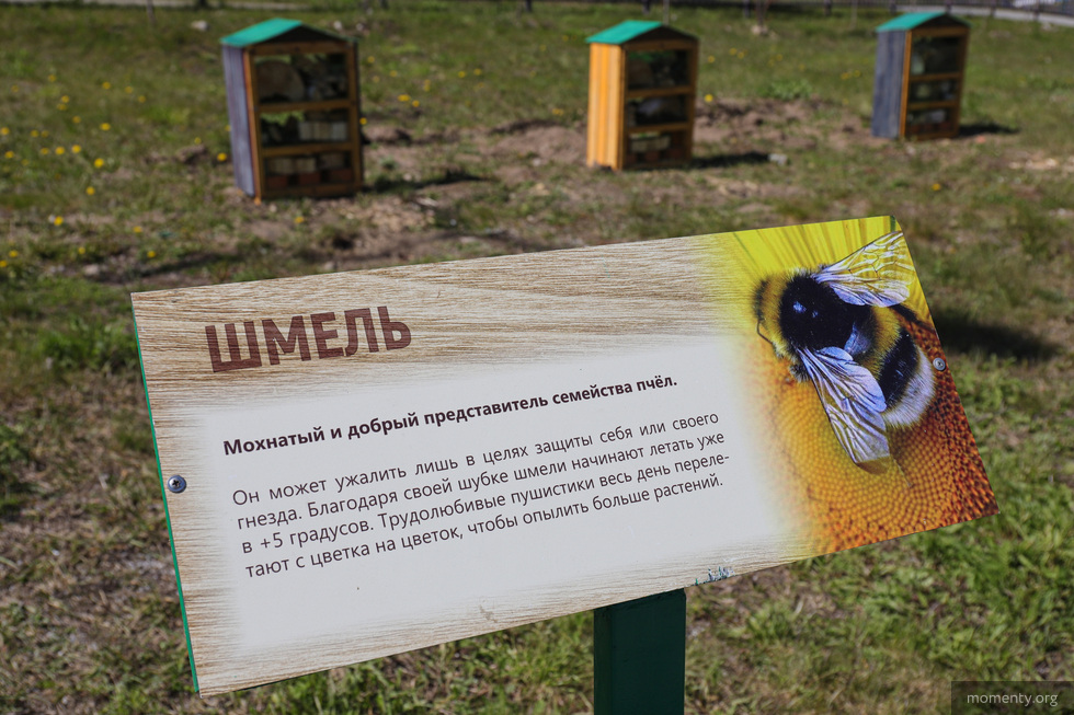 В&nbsp;Екатеринбурге открылся отель для божьих коровок