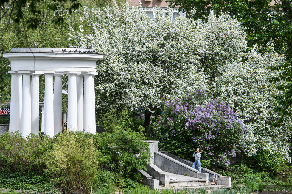 Работу одного из центральных парков Екатеринбурга временно приостановили Работу одного из центральных парков Екатеринбурга временно приостановили