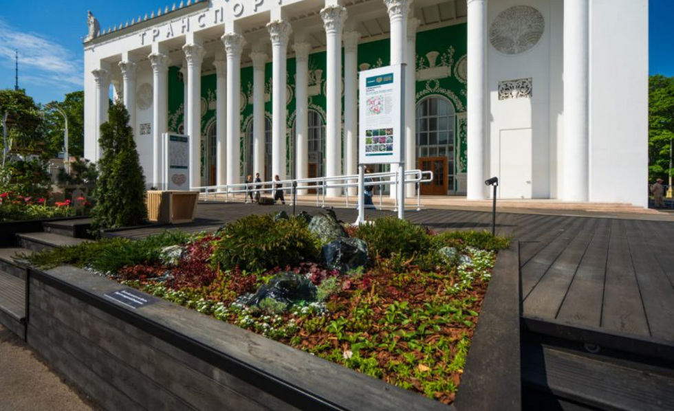 На ВДНХ появился флористический арт-объект о будущем Урала На ВДНХ появился флористический арт-объект о будущем Урала