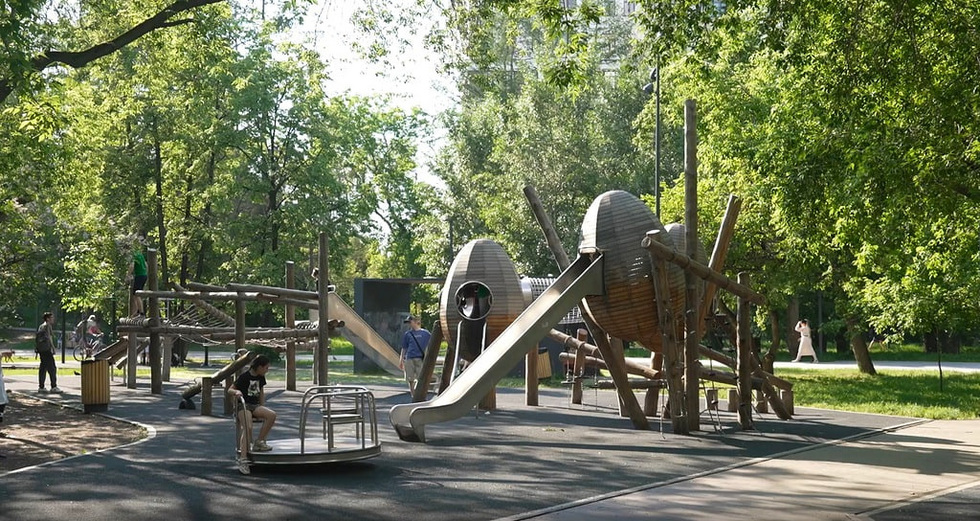 Дикую рощу в Академическом превратят в современный парк Дикую рощу в Академическом превратят в современный парк