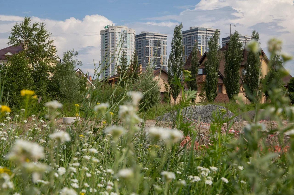 Озеленение бетонных джунглей: горожанам расскажут, как вернуть природу в город Озеленение бетонных джунглей: горожанам расскажут, как вернуть природу в город