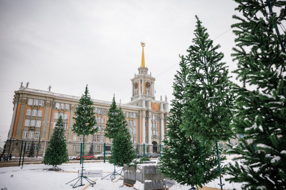 Хвойный лес украсит главную площадь Екатеринбурга