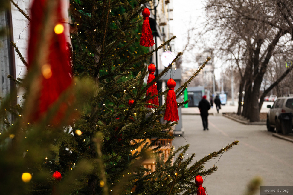Где купить елку в Екатеринбурге. Адреса Где купить елку в Екатеринбурге. Адреса