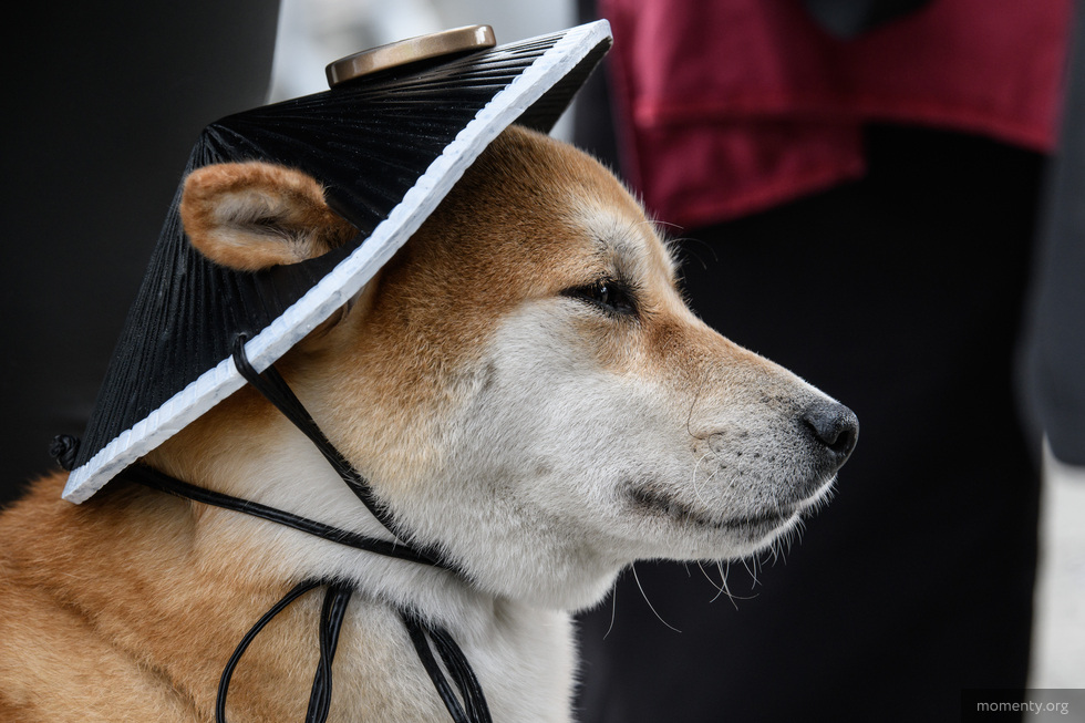 Крупнейший фестиваль гик-культуры в Екатеринбурге получил президентский грант Крупнейший фестиваль гик-культуры в Екатеринбурге получил президентский грант