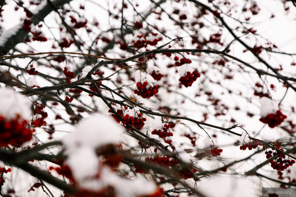 Город не может об этом молчать. Выпуск 164 Город не может об этом молчать. Выпуск 164