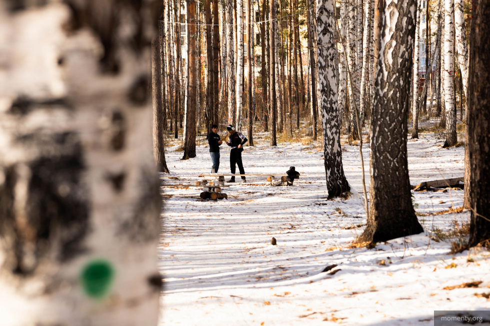 В&nbsp;Академическом районе вырубают Березовую рощу под новостройки
