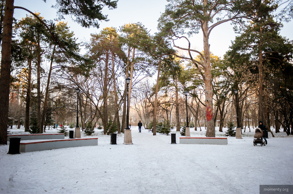 Вырубкой Зеленой рощи заинтересовалась прокуратура