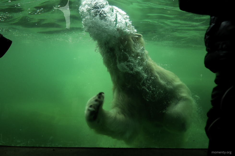 Город не может об этом молчать. Выпуск 165 Город не может об этом молчать. Выпуск 165