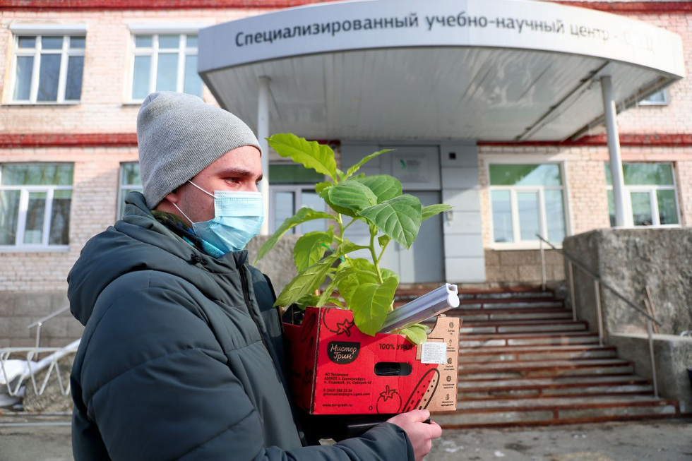 Специализированный центр УрФУ в&nbsp;Екатеринбурге закрыли на&nbsp;дистант из-за вспышки кишечной инфекции