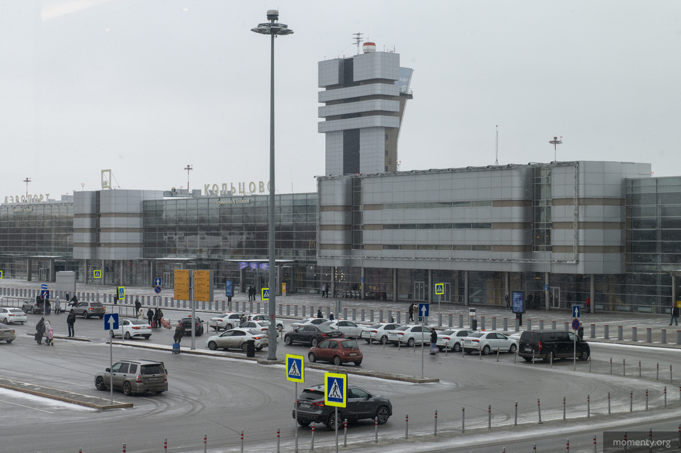 В Кольцово задержали туристку со 124 редкими кораллами из Дубая В Кольцово задержали туристку со 124 редкими кораллами из Дубая