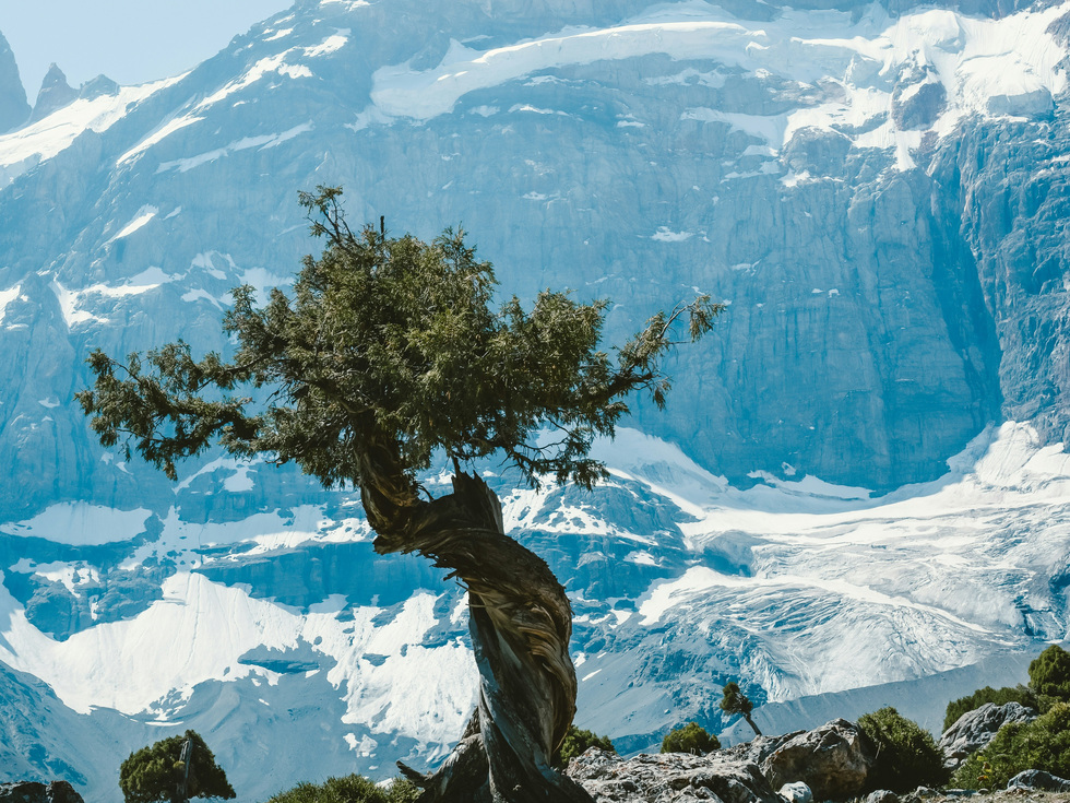 Город цветов и бесконечные горы: почему уральцам стоит поехать в Таджикистан Город цветов и бесконечные горы: почему уральцам стоит поехать в Таджикистан