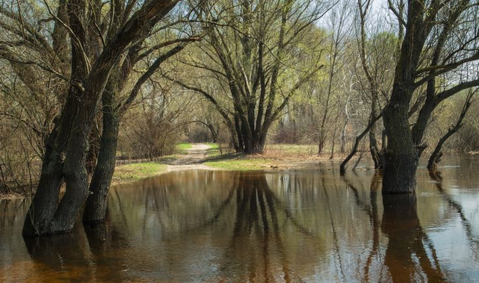 Большая вода не&nbsp;пройдет: как спасти имущество от&nbsp;весеннего потопа