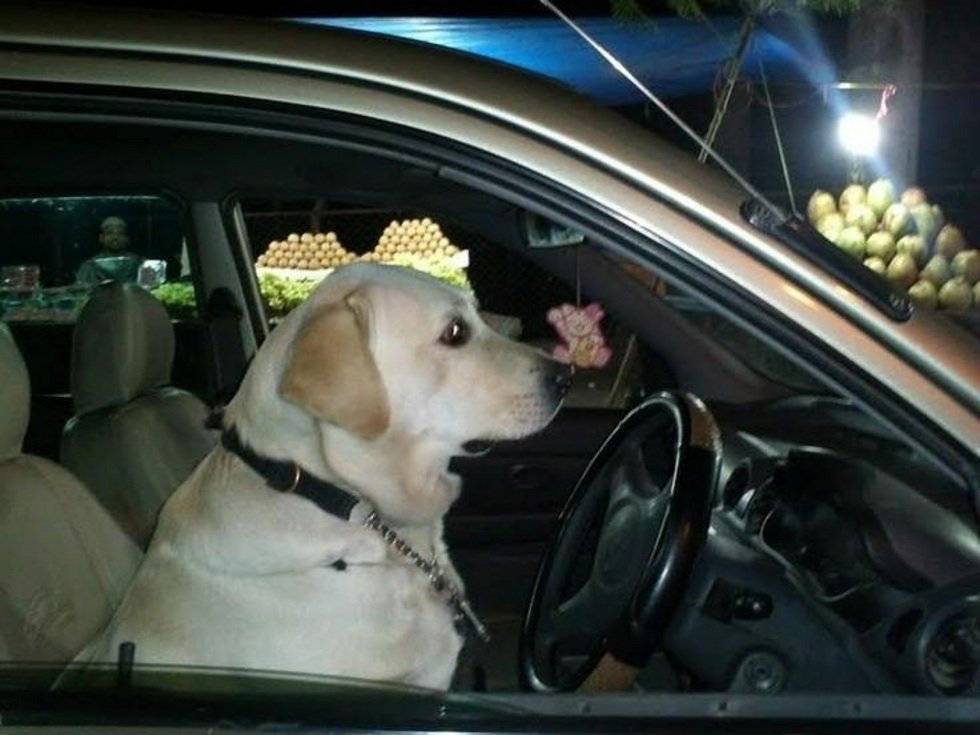 Екатеринбург вошел в тройку городов с самым опасным вождением Екатеринбург вошел в тройку городов с самым опасным вождением