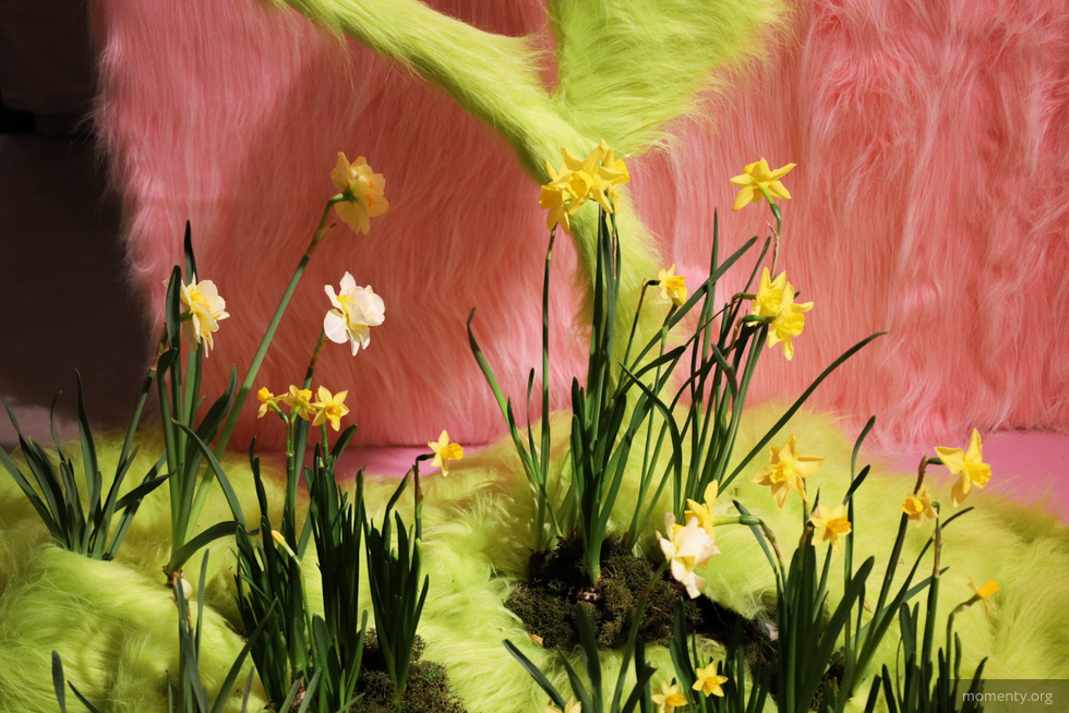 Шоколад с волосами и кофе со вкусом «Коровки». Гастроновости Екатеринбурга Шоколад с волосами и кофе со вкусом «Коровки». Гастроновости Екатеринбурга