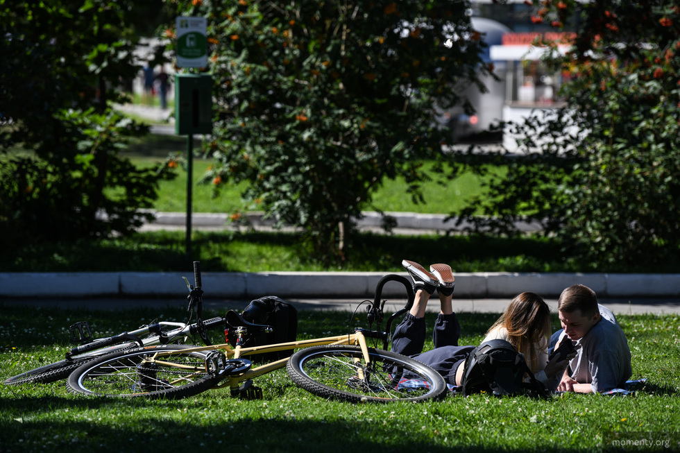 Парк Маяковского получит обновленную аллею