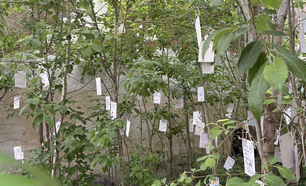 Под Екатеринбургом появился клуб мечтателей Под Екатеринбургом появился клуб мечтателей