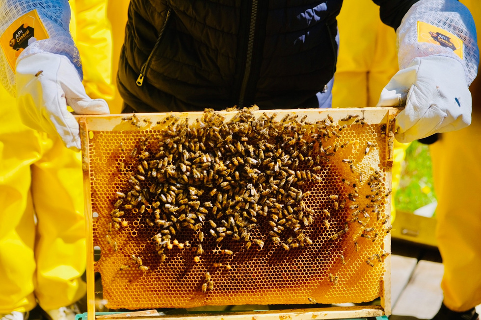 Уральский экокомплекс вошел в шорт-лист престижной трэвел-премии Уральский экокомплекс вошел в шорт-лист престижной трэвел-премии