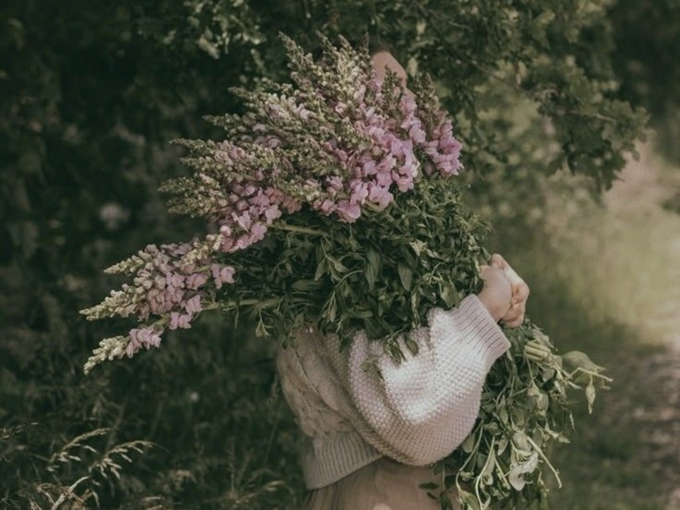 «Будем рады любой сумме»: уральские дивы пошли по пути эзотерического попрошайничества «Будем рады любой сумме»: уральские дивы пошли по пути эзотерического попрошайничества