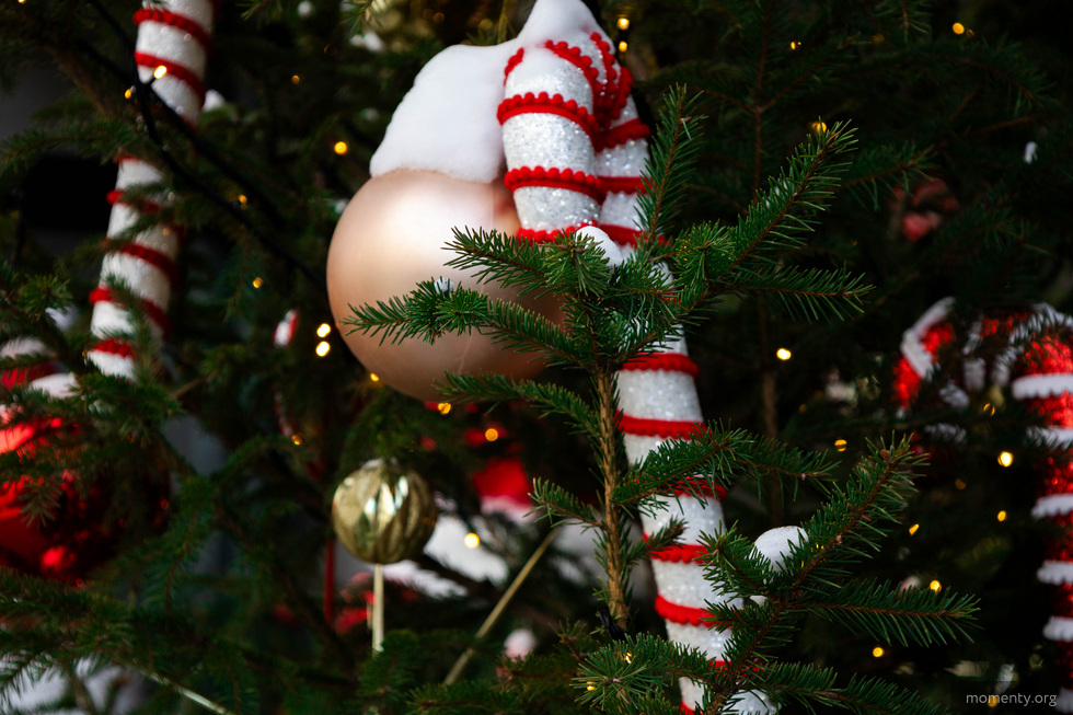 В 2026 году новогодние праздники станут рекордно длинными В 2026 году новогодние праздники станут рекордно длинными