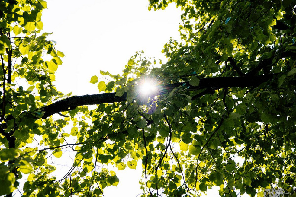 Когда в&nbsp;Екатеринбург вернется летнее тепло