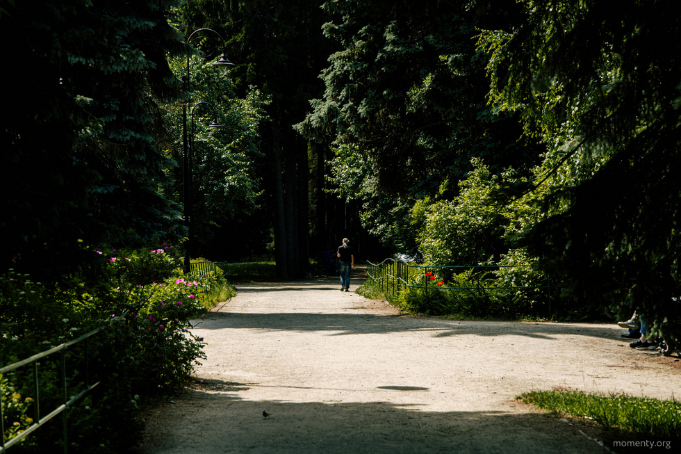 В&nbsp;Екатеринбурге проверят законность взимания платы за&nbsp;фотосессии в&nbsp;Дендропарках