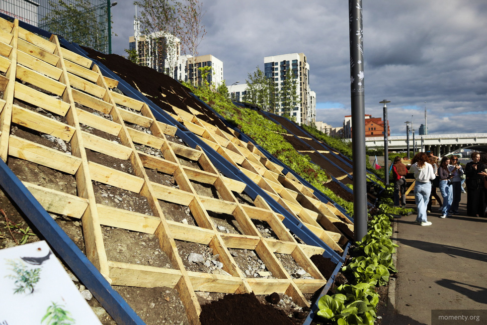 На набережной Исети появится огромная картина из живых растений На набережной Исети появится огромная картина из живых растений