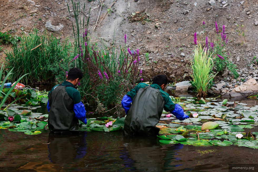 В Екатеринбурге появится ботанический сад на воде В Екатеринбурге появится ботанический сад на воде