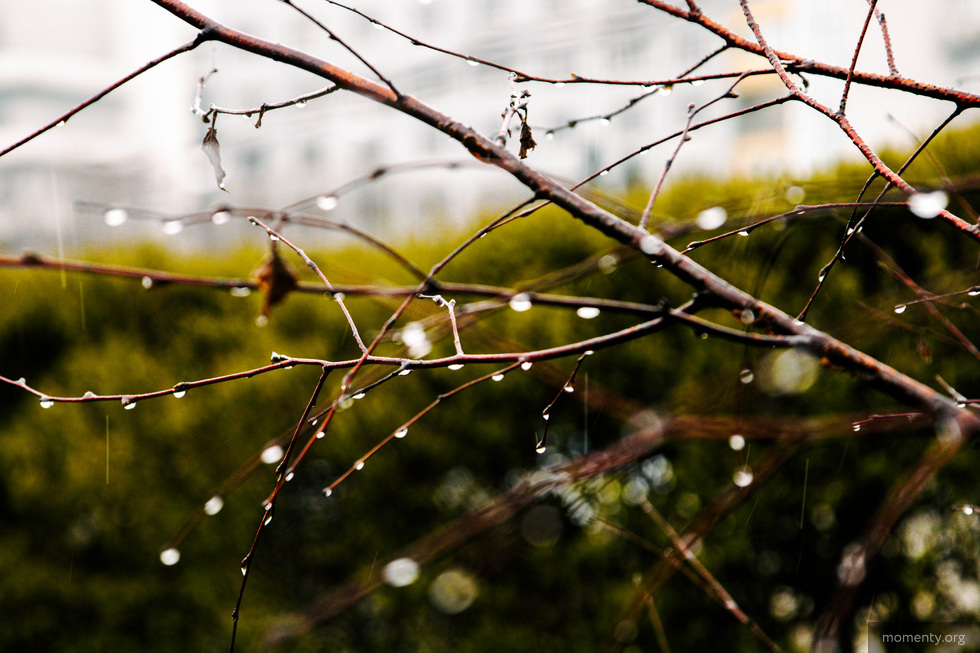 Екатеринбург на День города накроют дожди Екатеринбург на День города накроют дожди