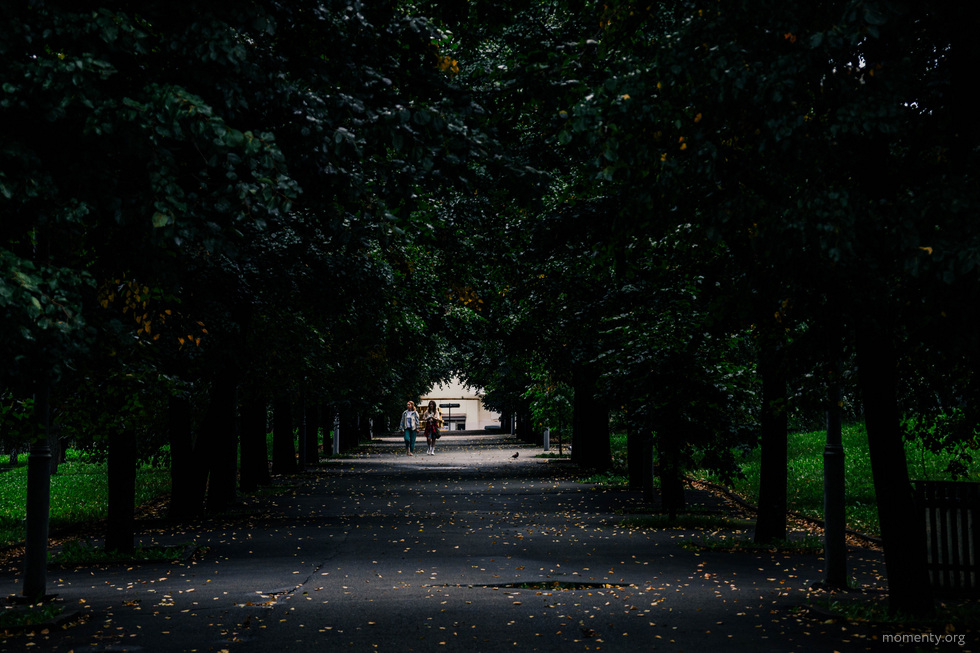 Город не может об этом молчать. Выпуск 176 Город не может об этом молчать. Выпуск 176