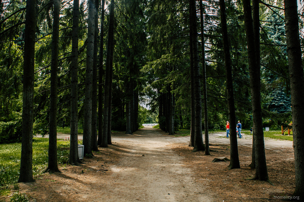 Прокуратура признала незаконным сбор платы за фотосессии и экскурсии в Дендропарках Екатеринбурга Прокуратура признала незаконным сбор платы за фотосессии и экскурсии в Дендропарках Екатеринбурга