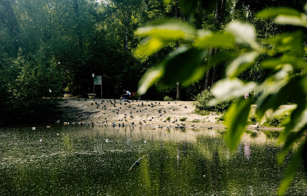 Город не может об этом молчать. Выпуск 179 Город не может об этом молчать. Выпуск 179
