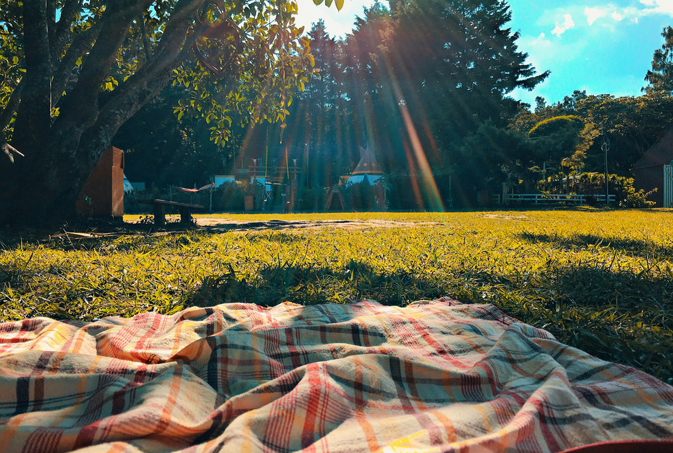 Осенний пикник: как организовать отдых на природе в холодный сезон Осенний пикник: как организовать отдых на природе в холодный сезон
