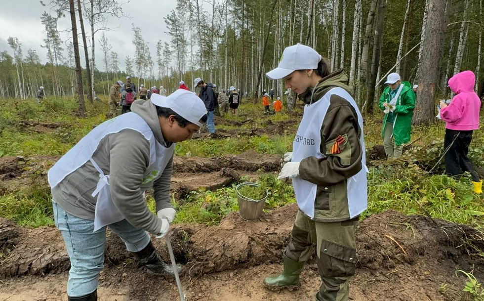 Под Екатеринбургом высадили более пяти тысяч новых деревьев Под Екатеринбургом высадили более пяти тысяч новых деревьев
