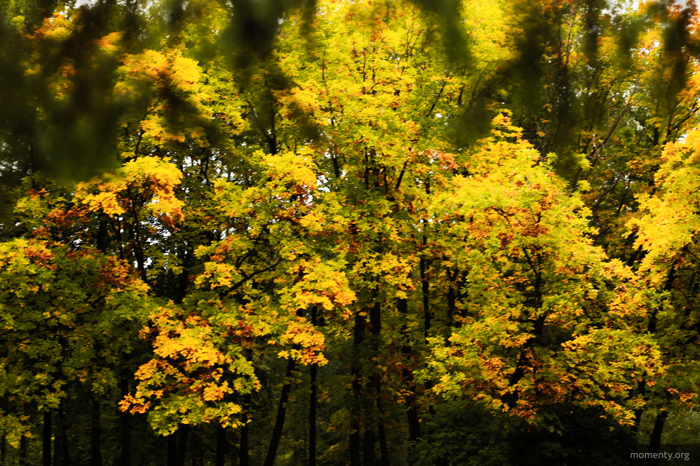 В Екатеринбурге расширят список «неприкосновенных территорий» В Екатеринбурге расширят список «неприкосновенных территорий»