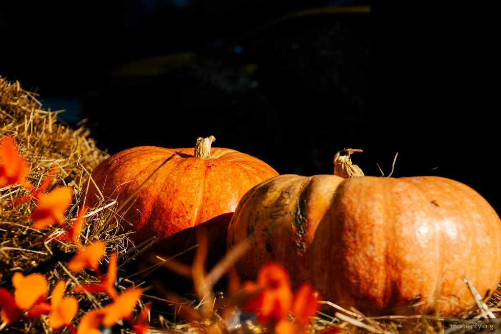 Турецкий уикенд, неожиданные сочетания и много новинок. Гастроновости Екатеринбурга Турецкий уикенд, неожиданные сочетания и много новинок. Гастроновости Екатеринбурга