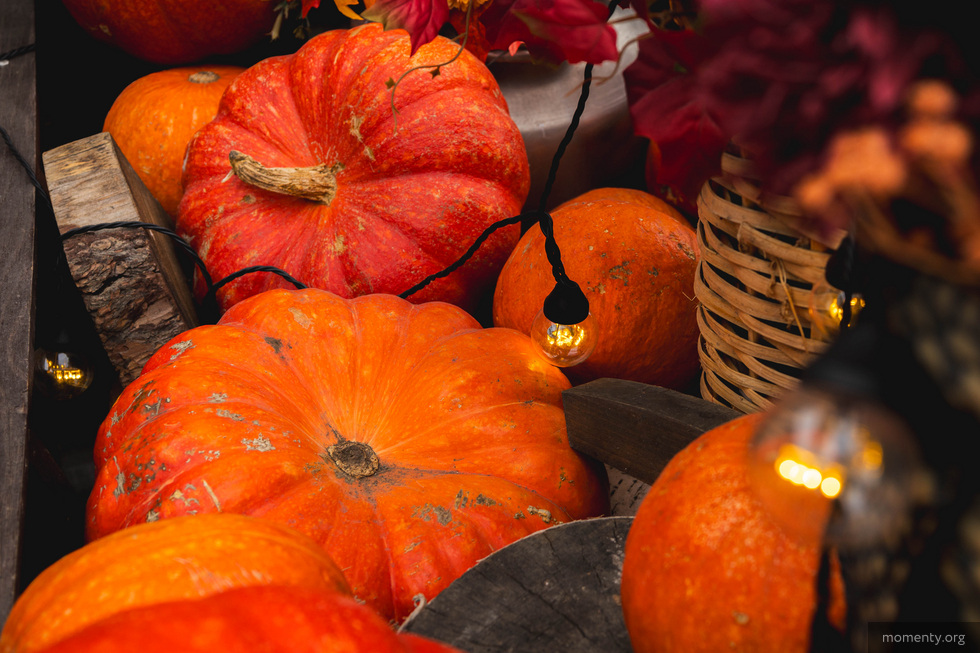 Россияне потеряли интерес к&nbsp;Хэллоуину