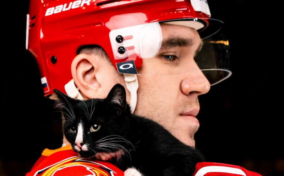 Пушистый матч пройдет в Екатеринбурге Пушистый матч пройдет в Екатеринбурге