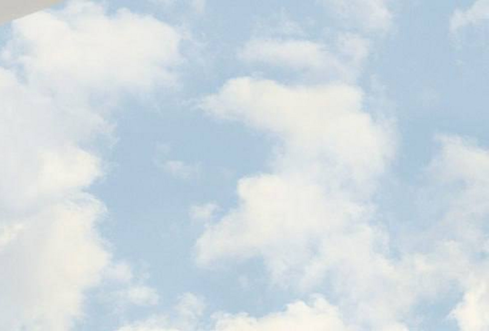 Pantone назвал цвет 2026 года Pantone назвал цвет 2026 года