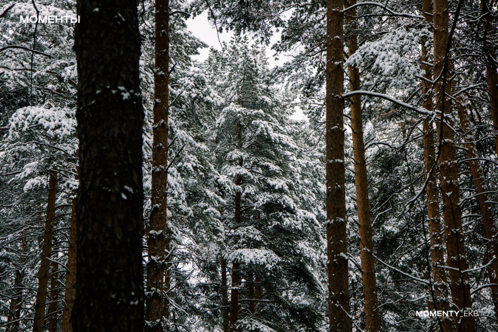 Через весь Урал проведут экспедицию на снегоходах Через весь Урал проведут экспедицию на снегоходах