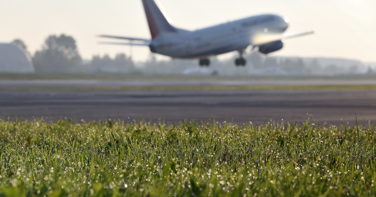 Open flight. Газон на аэродроме. Самолет трава. Газон самолет. Аэропорт газон.